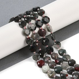 Natural Afican Bloodstone Beads Strands, Faceted Pentagonal Cut, Flat Round, with Seed Beads