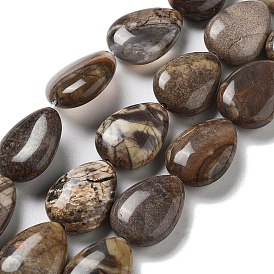 Natural Wealth Stone Beads Strands, Flat Teardrop