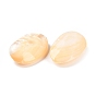 Natural Freshwater Shell Home Display Decorations, Oval Shell Ornament for Home Decoration