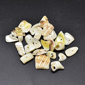 Dyed Natural Shell Nuggets Chips Beads, 11~20x5~15mm, Hole: 1mm, about 850pcs/500g
