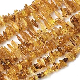 Янтарные шарики нити, чип