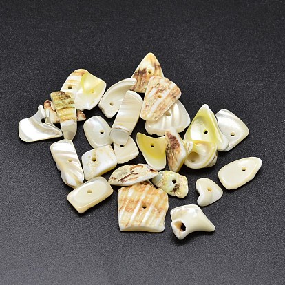 Dyed Natural Shell Nuggets Chips Beads, 11~20x5~15mm, Hole: 1mm, about 850pcs/500g