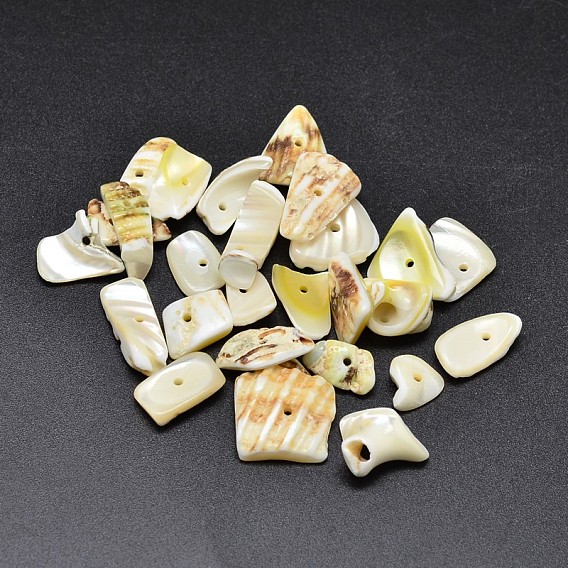 Dyed Natural Shell Nuggets Chips Beads, 11~20x5~15mm, Hole: 1mm, about 850pcs/500g