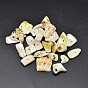 Dyed Natural Shell Nuggets Chips Beads, 11~20x5~15mm, Hole: 1mm, about 850pcs/500g