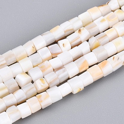 Естественных пресноводных оболочки бисер нитей, колонка