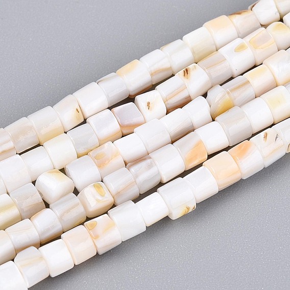 Естественных пресноводных оболочки бисер нитей, колонка