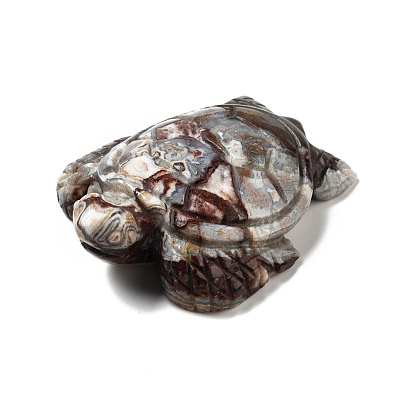 Natural Mexican Agate Display Decorations, Tortoise