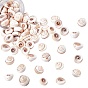 Natural Shiva Eye Shell Beads