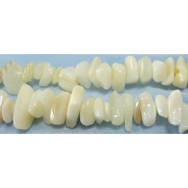 Brins de perles de coquillage blanc naturel, perles en nacre, 5~8mm, Trou: 0.5mm, 36 pouce