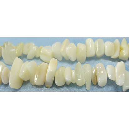 Brins de perles de coquillage blanc naturel, perles en nacre, 5~8mm, Trou: 0.5mm, 36 pouce