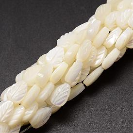 Brins de perles de coquille de trochid / trochus shell, feuille, 9x6x3~4mm, trou: 1mm, environ 44 pcs/chapelet, 15.35