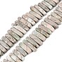 Natural Variscite Beads Strands, Irregular Stick, Top Drillded