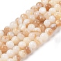 Cuentas de concha de perla natural hebras, rondo