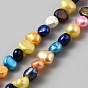Natural Cultured Freshwater Pearl Beads Strands, Baroque Keshi Pearl Beads, Two Sides Polished, Dyed