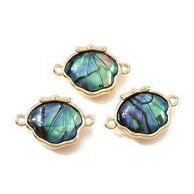 Латунные подвески-коннекторы из натуральной раковины морского ушка, звенья в форме раковины