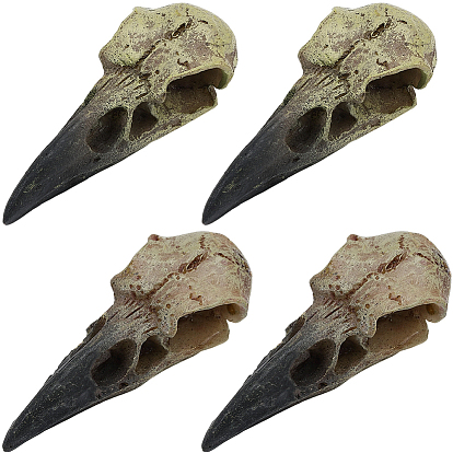 4Pcs 2 Styles Resin Bird Skull Display Decorations, for Home Office Desk Decoration