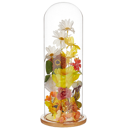 Couvercle de dôme en verre transparent, vitrine décorative, cloche cloche terrarium avec base en bambou