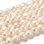 Natural Cultured Freshwater Pearl Beads Strands, Two Side Polished, Grade 3A+
