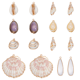 16шт. 8 стили гальванизированные натуральные смешанные подвески из ракушек, подвески в форме ракушек, золотые