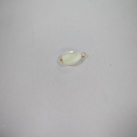 Pendentifs coquille de mer naturelle, charme de larme, avec des goupilles à billes en laiton, or