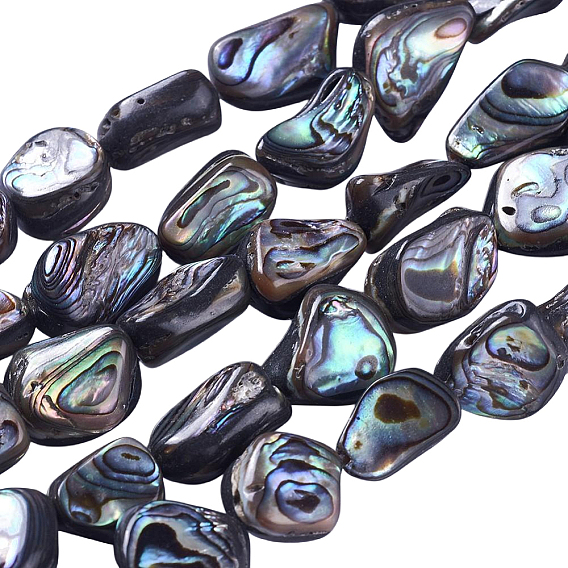 1 Strand Natural Abalone Shell/Paua Shell Beads Strands, Nuggets
