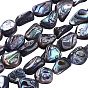 1 Strand Natural Abalone Shell/Paua Shell Beads Strands, Nuggets