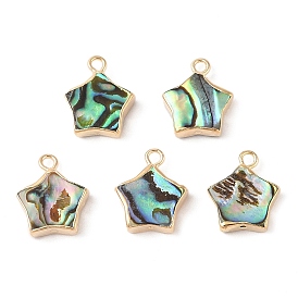 Natural Paua Shell Star Charms with Brass Edge