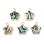 Natural Paua Shell Star Charms with Brass Edge