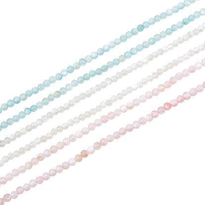 3 Strands 3 Colors Natural Freshwater Shell Beads Strands, Dyed, Round