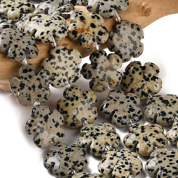 Natural Dalmatian Jasper Beads Strands, 5-Petal Flower, with Seed Beads