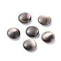 Cuentas de concha de labio negro natural, oval