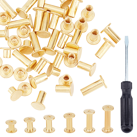 Iron Screw Rivets