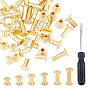 Iron Screw Rivets