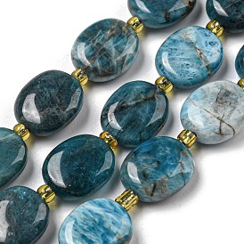 Natural Apatite Beads Strands, with Seed Beads, Flat Oval