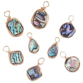 8Pcs 4 Styles Natural Abalone Shell/Paua Shell Pendants, Eco-Friendly Copper Wire Wrapped Shell Charm, Rectangle & Square & Teardrop & Flat Round