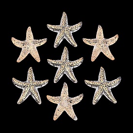 Colgantes de acrílico transparentes, encantos de estrellas de mar, metal dorado enlaced