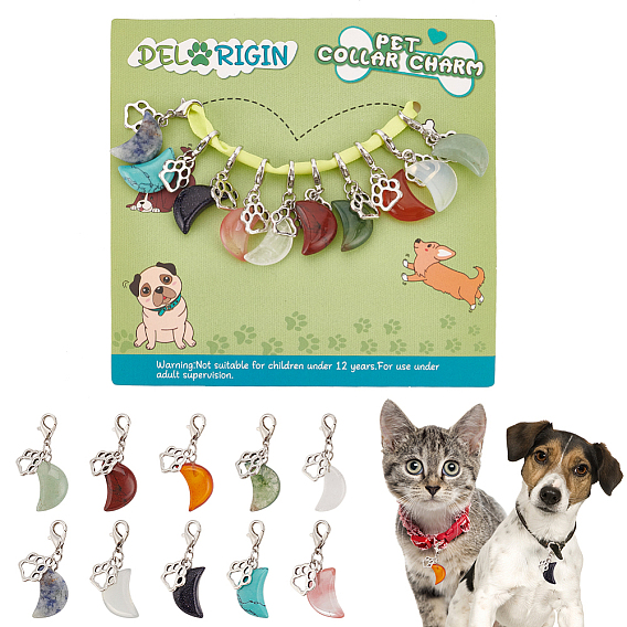 10 шт. 10 украшения подвеска из драгоценных камней в форме луны, кулон с принтом лапы в виде питомца, декоративный, подвески из цинкового сплава