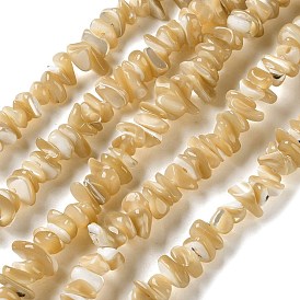 Натуральные бусины из ракушек трохуса, чип