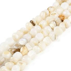 Natural Freshwater Shell  Beads Strands, Nuggets