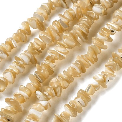 Натуральные бусины из ракушек трохуса, чип