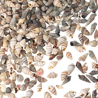 150g 5 стили натуральные смешанные бусины из ракушек, неочищенные / без отверстий