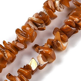 Natural Shell Beads Strands, Chip