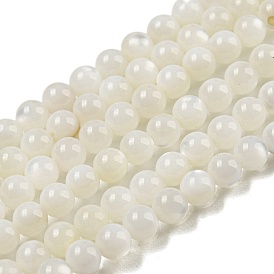 Cuentas de concha de perla natural hebras, rondo