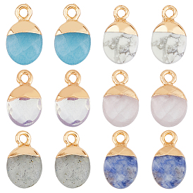 12шт. 6 стили гальванизированные смешанные драгоценные камни ограненные овальные подвески, с позолоченными железными петлями, смешанные окрашенные и неокрашенные