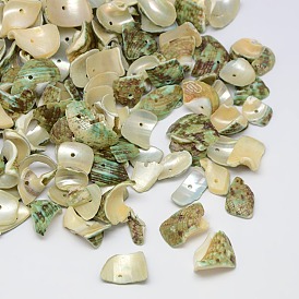 Dyed Natural Spiral Shell Chips Beads, Shell Shards, 10~20x6~15mm, Hole: 1mm, about 700pcs/500g