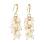 Cluster Dangle Earrings, with Natural Sea Shell Beads, Brass Earring Hooks and Cardboard Box