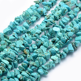 Turquoise Beads Strands, Chip