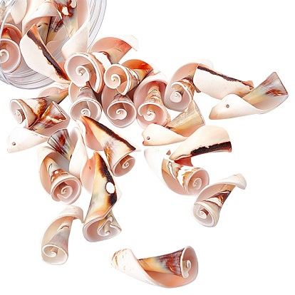 Natural Freshwater Shell Beads