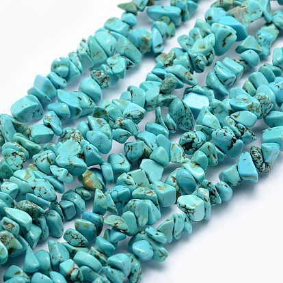 Turquoise Beads Strands, Chip