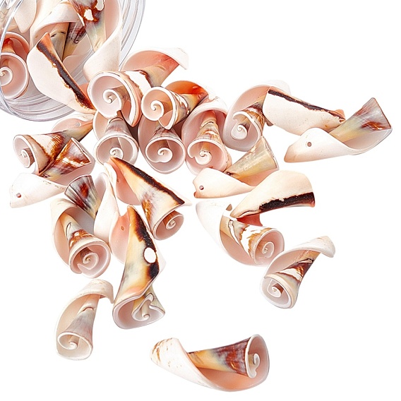 Natural Freshwater Shell Beads